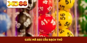 Soi cầu bạch thủ